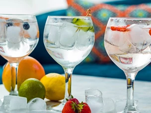 Receitas Gin Tonico