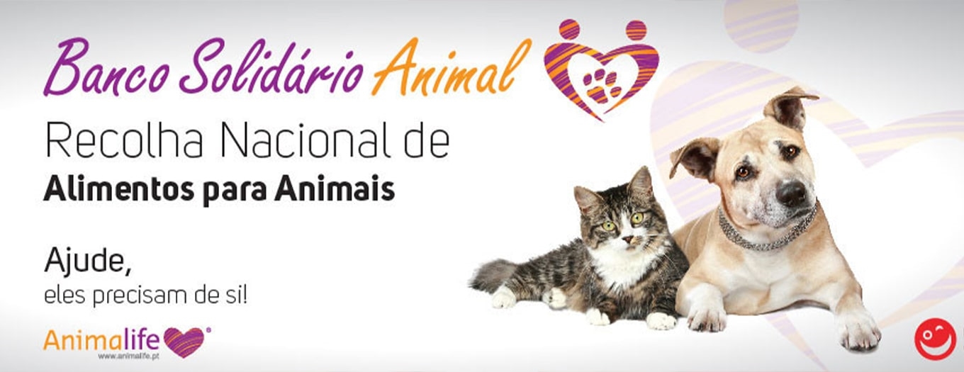 Banner do Banco Solidário Animal a apelar à recolha nacional de alimentos para animais 