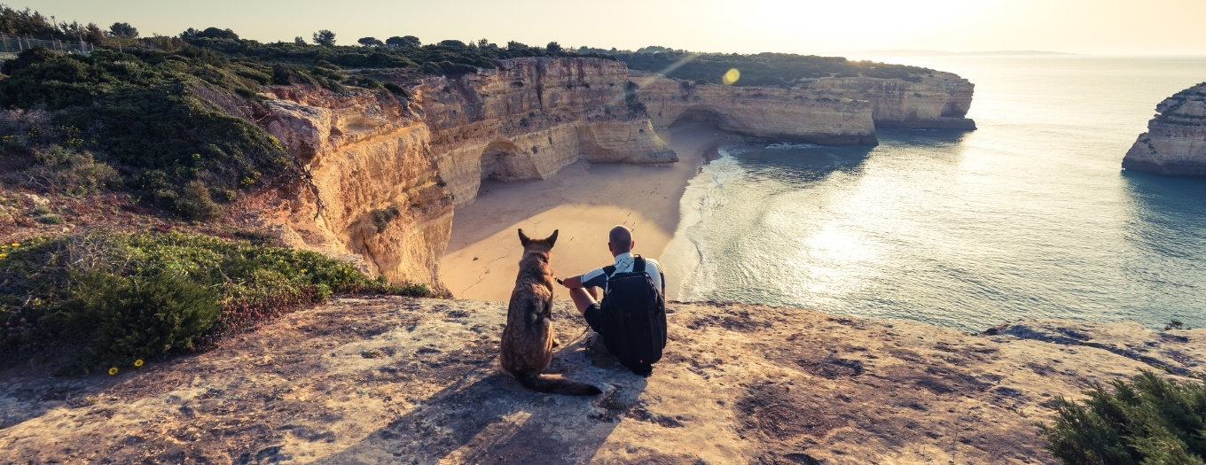 Racas Caes Populares