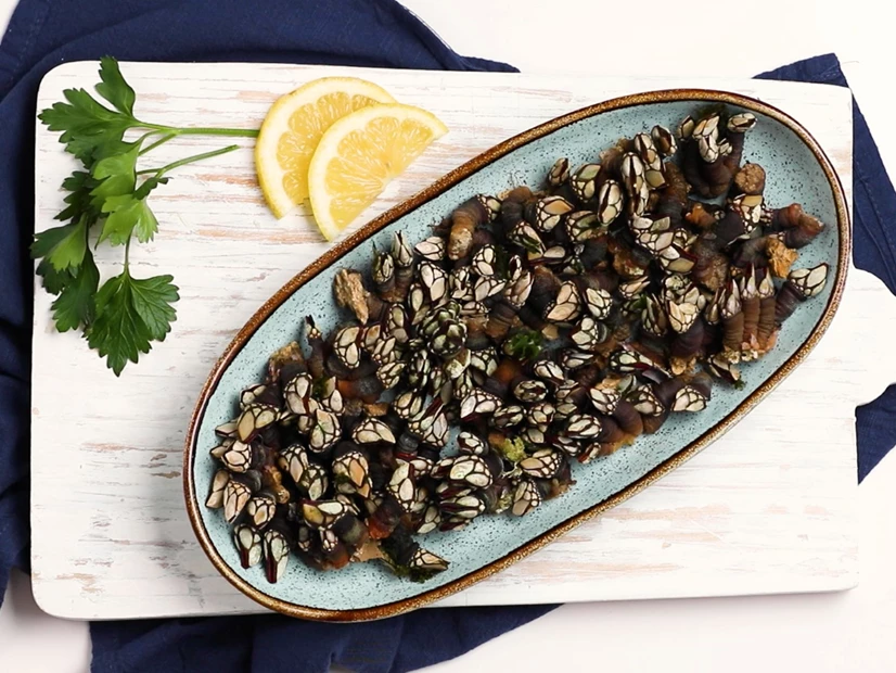 imagem de percebes