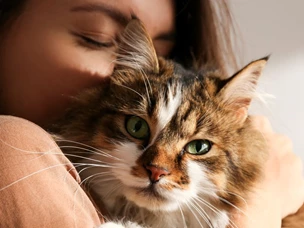 Seguro animal de estimação