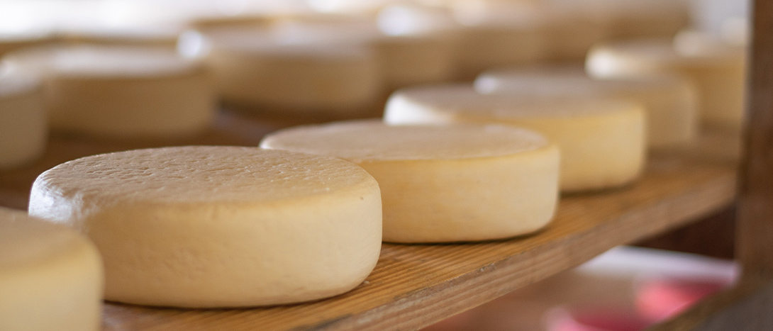 Queijos portugueses